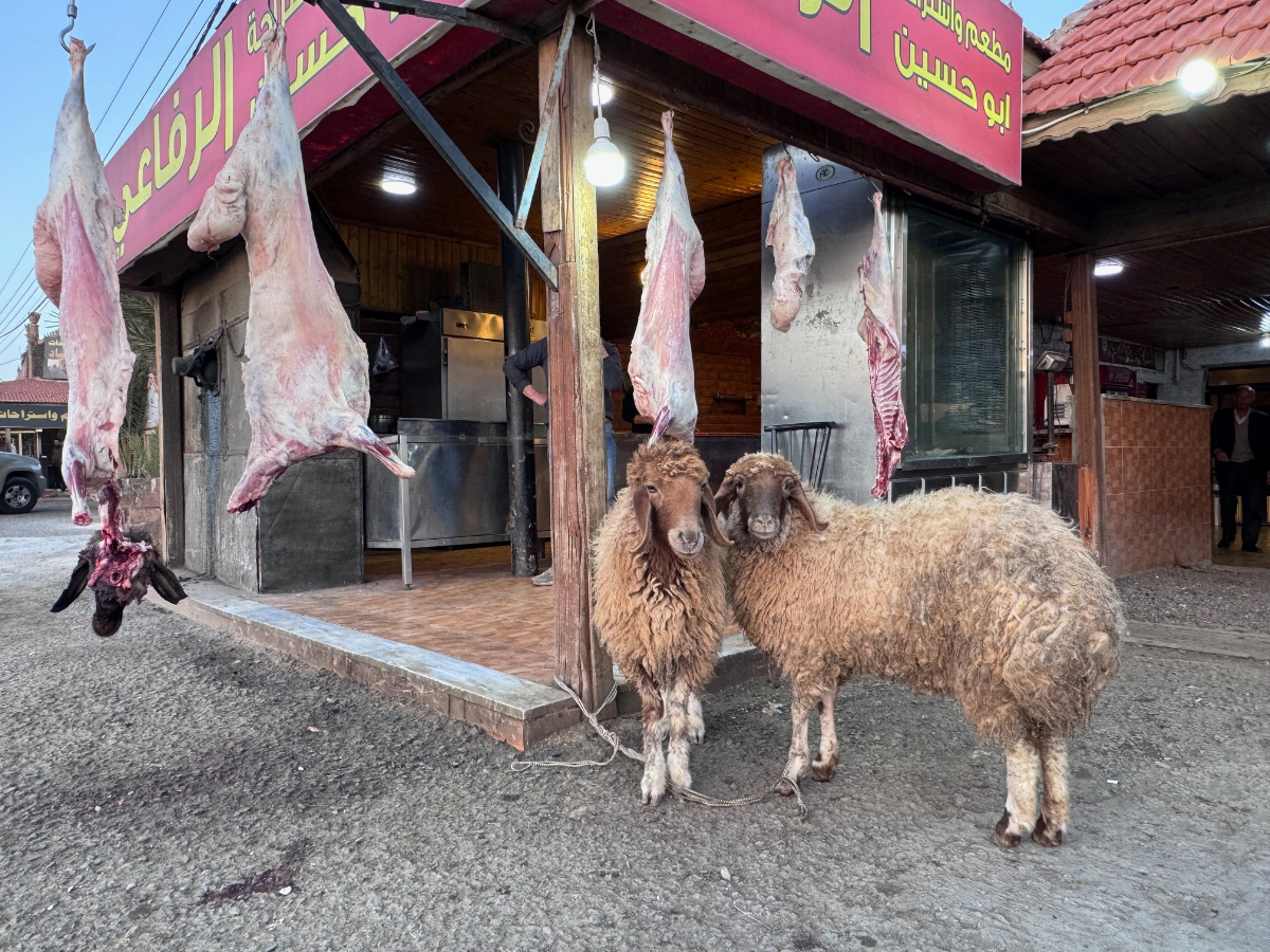 新鮮過ぎる羊肉料理を提供するレストランの店先